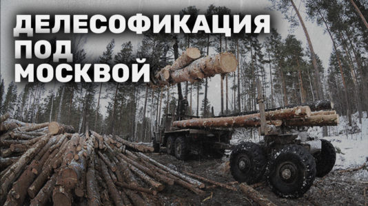 Власти вырубают лес Подмосковья и преследуют его защитников в Троицке
