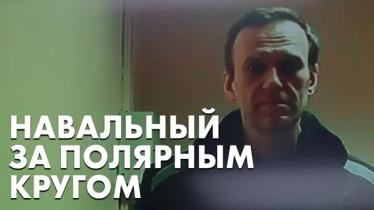 Навальный за полярным кругом